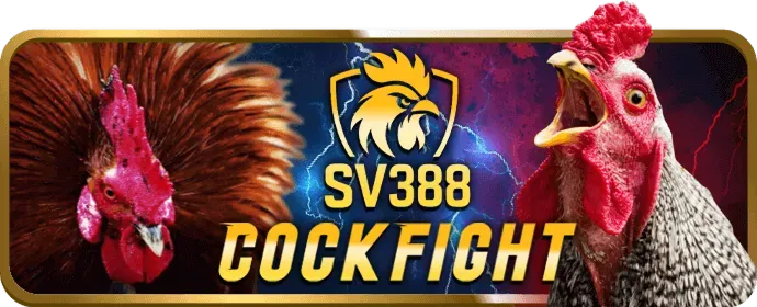 Trải nghiệm sòng bạc trực tiếp jb88 win